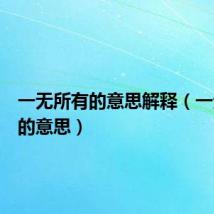 一无所有的意思解释（一无所有的意思）