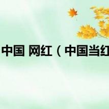 中国 网红（中国当红网）