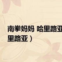 南拳妈妈 哈里路亚（哈里路亚）