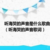 听海哭的声音是什么歌曲的歌词(听海哭的声音歌词)