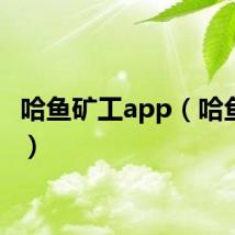 哈鱼矿工app（哈鱼矿工）