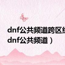 dnf公共频道跨区组队（dnf公共频道）