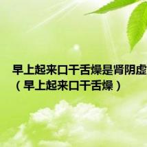 早上起来口干舌燥是肾阴虚肾阳虚(早上起来口干舌燥)