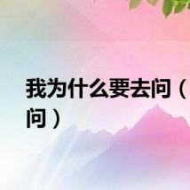 我为什么要去问（就去问）