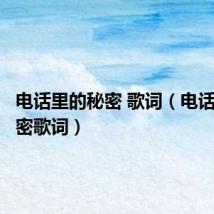 电话里的秘密 歌词(电话里的秘密歌词)