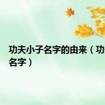 功夫小子名字的由来(功夫小子名字)