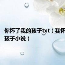 你怀了我的孩子txt(我怀了你的孩子小说)