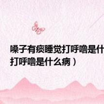 嗓子有痰睡觉打呼噜是什么病(打呼噜是什么病)