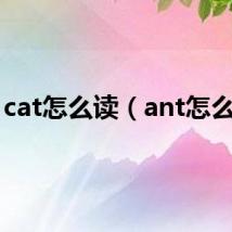 cat怎么读(ant怎么读)