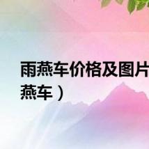 雨燕车价格及图片（雨燕车）