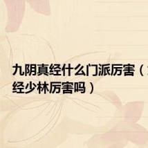九阴真经什么门派厉害(九阴真经少林厉害吗)