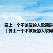 爱上一个不该爱的人歌词是什么歌(爱上一个不该爱的人歌词)