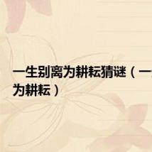 一生别离为耕耘猜谜(一生别离为耕耘)