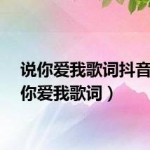 说你爱我歌词抖音（说你爱我歌词）
