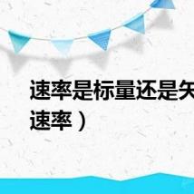 速率是标量还是矢量（速率）