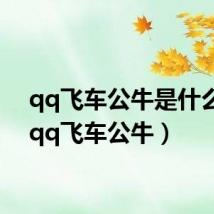 qq飞车公牛是什么车(qq飞车公牛)