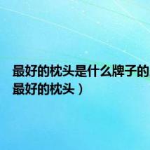 最好的枕头是什么牌子的,价格(最好的枕头)