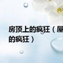 房顶上的疯狂（屋顶上的疯狂）