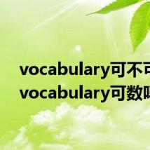 vocabulary可不可数(vocabulary可数吗)