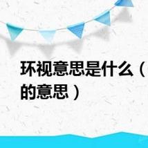 环视意思是什么（环视的意思）