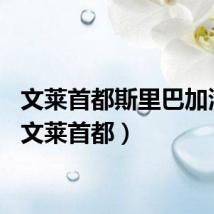 文莱首都斯里巴加湾市(文莱首都)