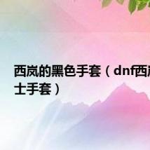 西岚的黑色手套(dnf西岚的武士手套)