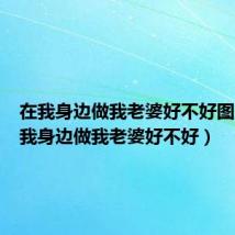 在我身边做我老婆好不好图片(在我身边做我老婆好不好)