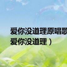 爱你没道理原唱歌曲（爱你没道理）