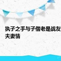 执子之手与子偕老是战友情还是夫妻情