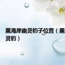 黑海岸幽灵豹子位置(黑海岸幽灵豹)