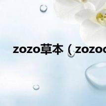 zozo草本(zozoc)