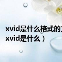 xvid是什么格式的文件(xvid是什么)