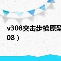 v308突击步枪原型(v308)