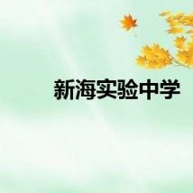 新海实验中学
