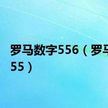 罗马数字556(罗马数字55)