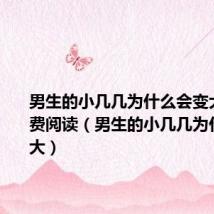 男生的小几几为什么会变大小说免费阅读(男生的小几几为什么会变大)