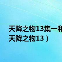 天降之物13集一和二(天降之物13)
