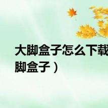 大脚盒子怎么下载（大脚盒子）