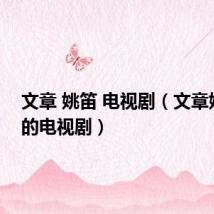 文章 姚笛 电视剧(文章姚笛演的电视剧)