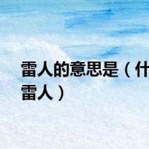 雷人的意思是（什么叫雷人）