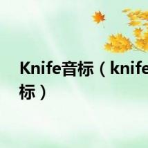 Knife音标(knife的音标)