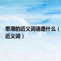 思潮的近义词语是什么(思潮的近义词)