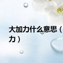 大加力什么意思（大加力）