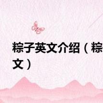 粽子英文介绍（粽子 英文）