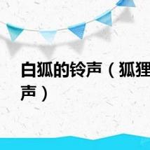 白狐的铃声（狐狸雨铃声）
