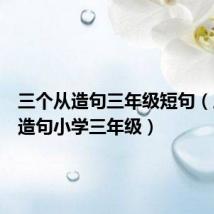 三个从造句三年级短句(三个从造句小学三年级)