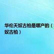 华伦天奴古柏是哪产的(华伦天奴古柏)