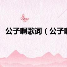 公子啊歌词（公子啊）