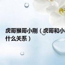 虎哥猴哥小刚(虎哥和小刚学长什么关系)