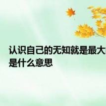 认识自己的无知就是最大的智慧是什么意思